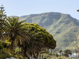 Brunch para 2 con cava en Bajamar