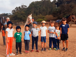 Equinos Avena y Calor - La Laguna 