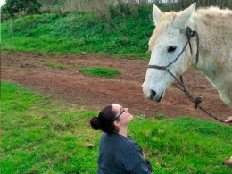 Equinos Avena y Calor - La Laguna 