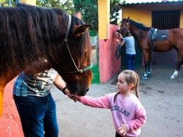 Equinos Avena y Calor - La Laguna 