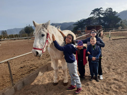 Equinos Avena y Calor - La Laguna 