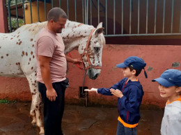 Equinos Avena y Calor - La Laguna 