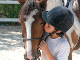 Equinos Avena y Calor - La Laguna 