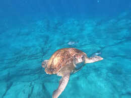 Mana Kayak - Los Cristianos