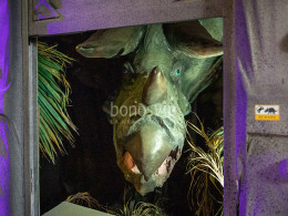 Guarida del Pirata - Los Realejos