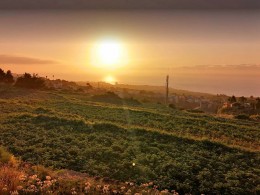 Bodeguita La Charca - La Orotava