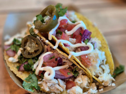 Visita guiada por la fábrica + cata de 5 cervezas artesanales con picoteo