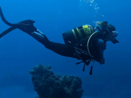 Iniciación al buceo o Curso de Open Water con certificado internacional 