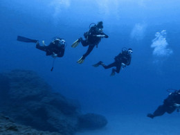 Iniciación al buceo o Curso de Open Water con certificado internacional 