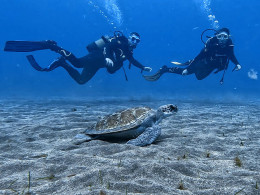 Iniciación al buceo o Curso de Open Water con certificado internacional 