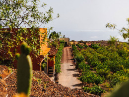 Finca Tres Roques - Vilaflor