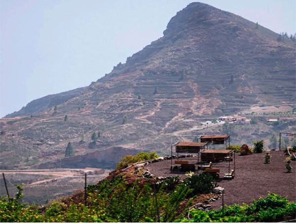 Finca Tres Roques: Experiencia exclusiva con visita a la bodega + degustación + almuerzo