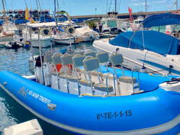Excursión en barco con avistamiento de cetáceos + picoteo 