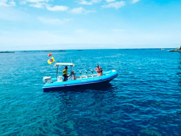 Sea Safari Tenerife - Playa las Américas