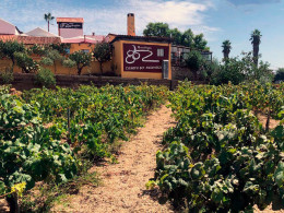 Bodegas Reverón - Vilaflor