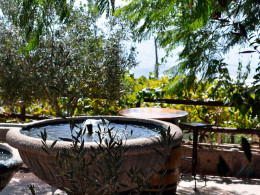 Bodegas Reverón - Vilaflor