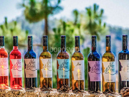 Bodegas Reverón - Vilaflor