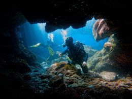 Scuba Point Diving Tenerife