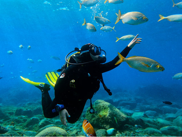 Bautismo de buceo con salida en barco desde Puerto Colón