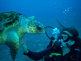 Scuba Point Diving Tenerife