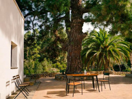 Rincon de Marco - La Guancha