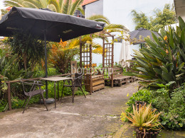 Guachinche El Patio - Tacoronte