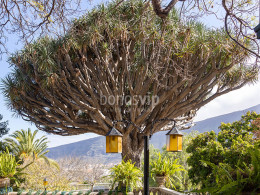 Hotel Buen Retiro - Güímar