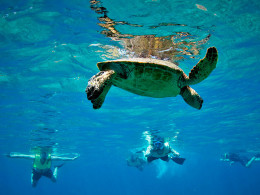 Ruta guiada de snorkel con reportaje fotográfico 