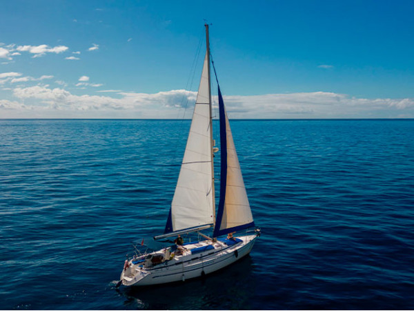 Excursión en barco con avistamiento de cetáceos + snack y bebida