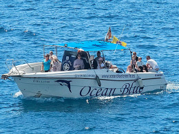 Avistamiento de cetáceos de 2 o 3 horas con comida y bebida