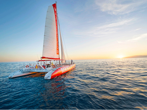Excursión en Catamarán con almuerzo + bebidas ilimitadas