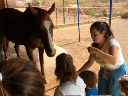 Sesión transformadora de equinoterapia