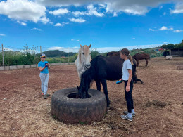 Sesión transformadora de equinoterapia