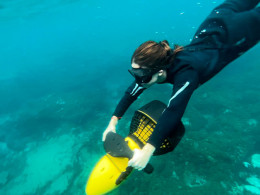 Snorkel con propulsores + reportaje fotográfico + snack 