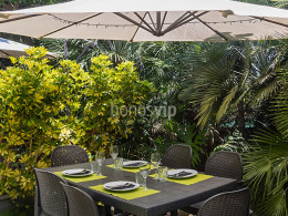 Menú gastronómico envuelto en naturaleza