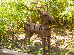 Menú gastronómico envuelto en naturaleza