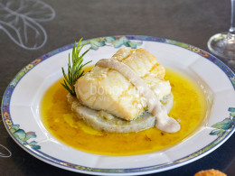 Menú gastronómico envuelto en naturaleza