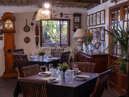 Menú gastronómico envuelto en naturaleza