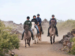 Paseo a caballo rodeado de vistas espectaculares con aperitivo + bebida