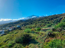 La Casa de Bisa - Garachico