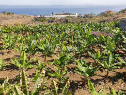 Brunch Km0 para 2 + visita en finca orgánica