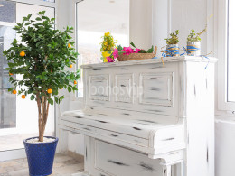 La Cueva Los Roques - Fasnia