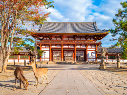 Tourismile - Tenerife