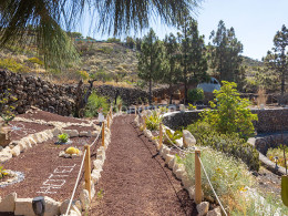 Hotel Rural Correa del Almendro - Arona