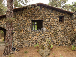 Monte Frío - Los Realejos