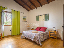 Monte Frío - Los Realejos