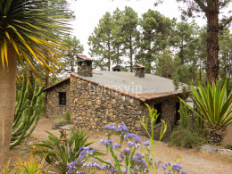 Monte Frío - Los Realejos