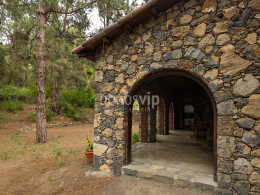 Monte Frío - Los Realejos