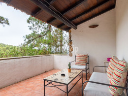 Monte Frío - Los Realejos