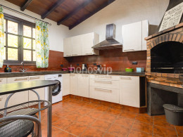 Monte Frío - Los Realejos